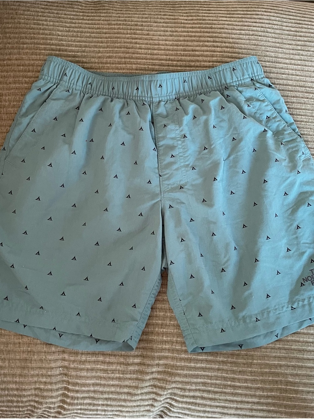 The North Face Green Swim Trunks with Micro Triangle Print
